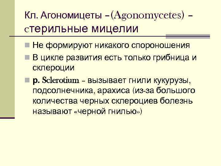 Кл. Агономицеты –(Agonomycetes) – cтерильные мицелии n Не формируют никакого спороношения n В цикле