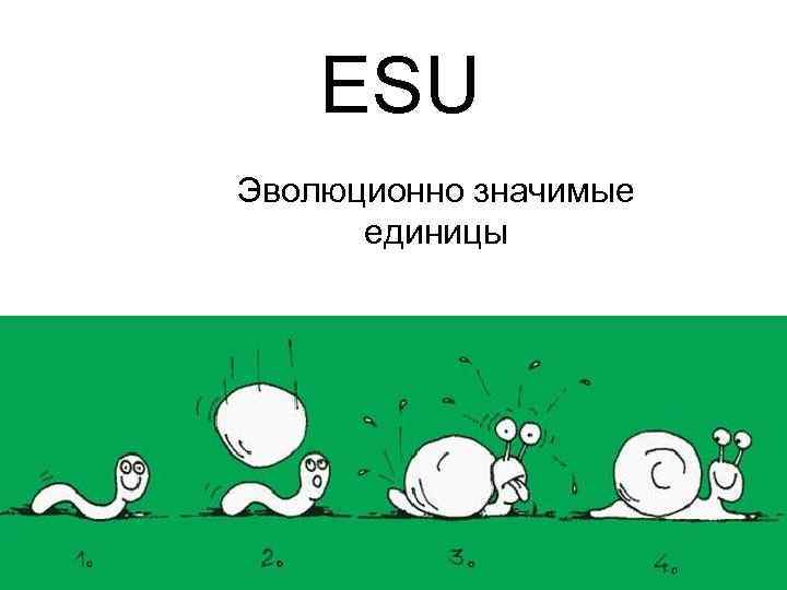   ESU Эволюционно значимые  единицы 