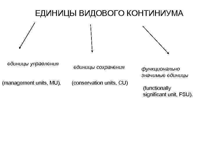   ЕДИНИЦЫ ВИДОВОГО КОНТИНИУМА  единицы управления      единицы