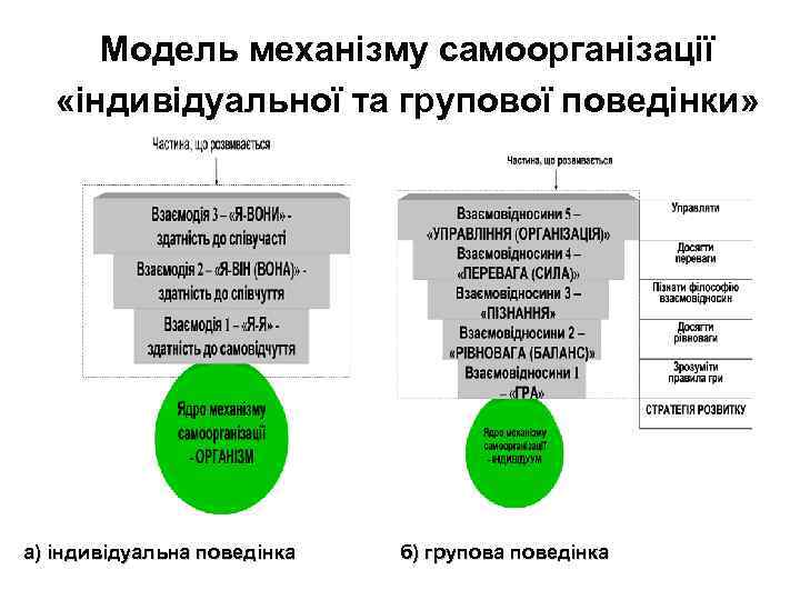  Модель механізму самоорганізації «індивідуальної та групової поведінки» а) індивідуальна поведінка  б) групова