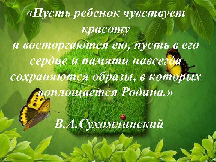   «Пусть ребенок чувствует   красоту и восторгаются ею, пусть в его