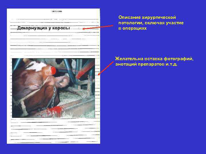     Описание хирургической     потологии, включая участие Декорнуация