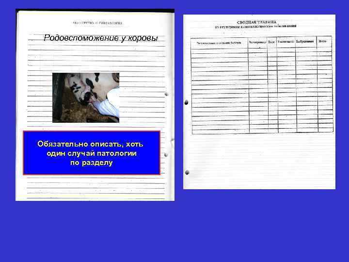  Родовспоможение у коровы Обязательно описать, хоть  один случай патологии   по