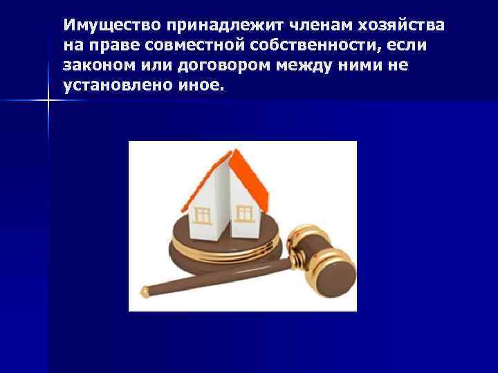 Имущество принадлежит членам хозяйства на праве совместной собственности, если законом или договором между ними