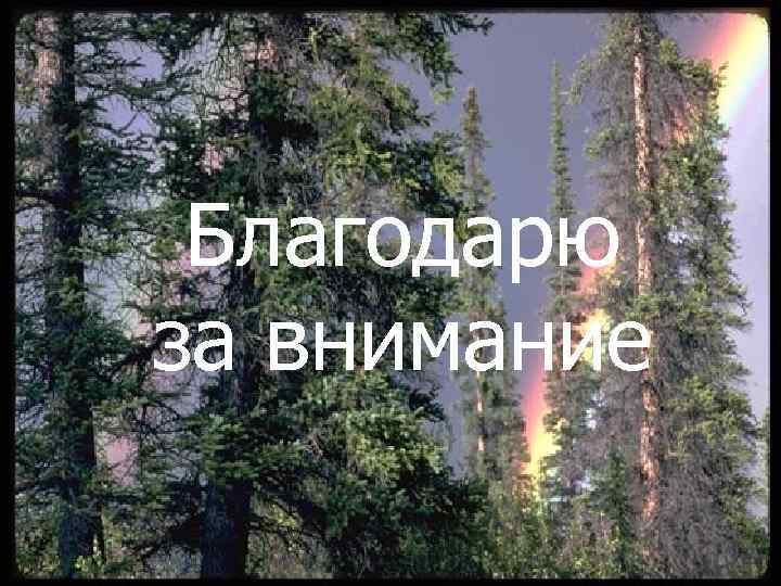  Благодарю за внимание 