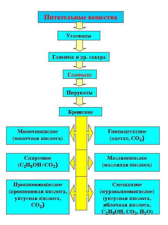   Питательные вещества    Углеводы   Глюкоза и др. сахара