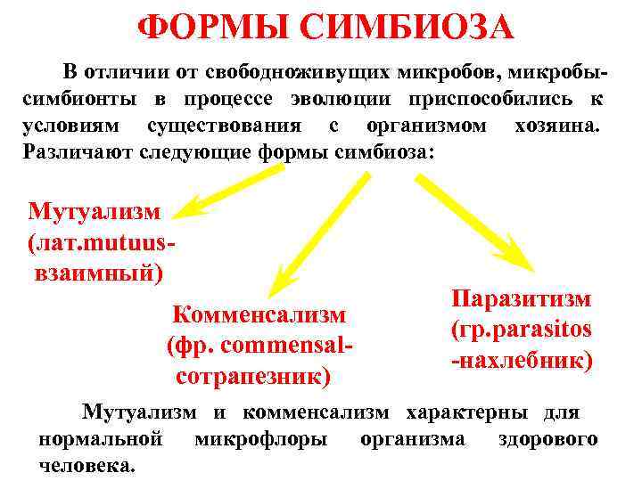    ФОРМЫ СИМБИОЗА В отличии от свободноживущих микробов, микробы- симбионты в процессе