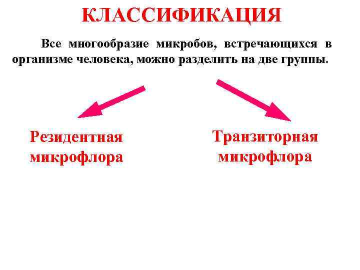   КЛАССИФИКАЦИЯ  Все многообразие микробов,  встречающихся в организме человека, можно разделить