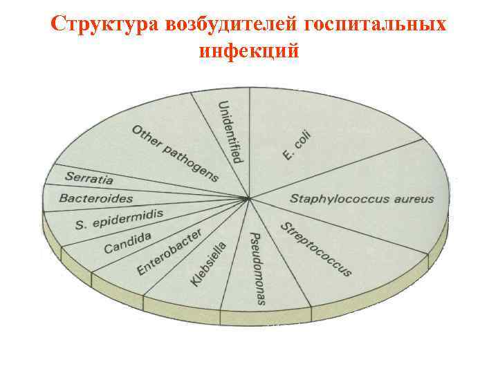 Структура возбудителей госпитальных   инфекций 
