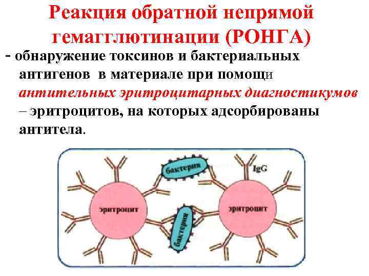  Реакция обратной непрямой гемагглютинации (РОНГА) - обнаружение токсинов и бактериальных антигенов в материале