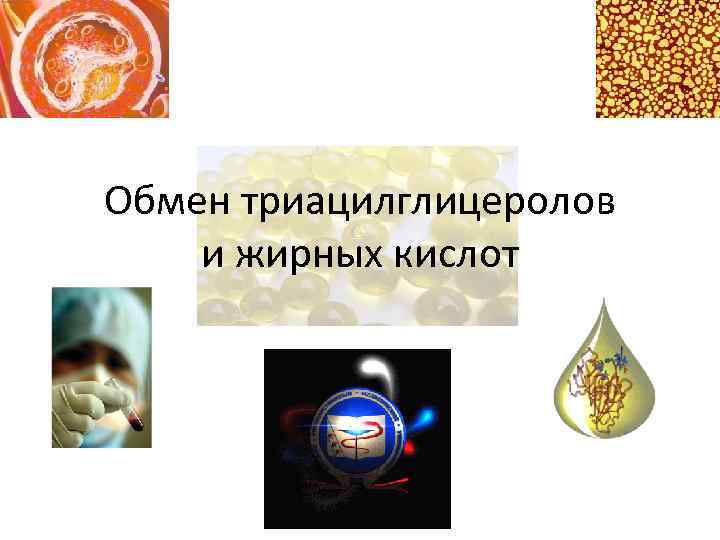 Обмен триацилглицеролов и жирных кислот 