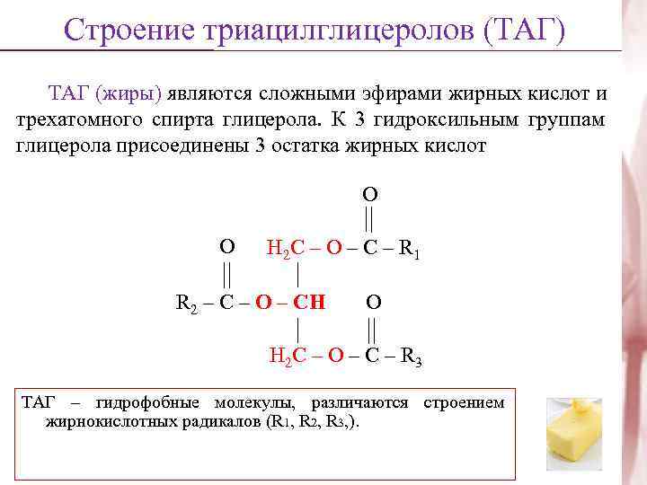   Строение триацилглицеролов (ТАГ)  ТАГ (жиры) являются сложными эфирами жирных кислот и