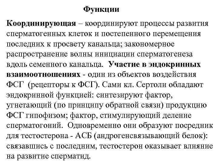 Функции Координирующая – координируют процессы развития сперматогенных клеток и постепенного Функции Координирующая – координируют процессы развития сперматогенных клеток и постепенного