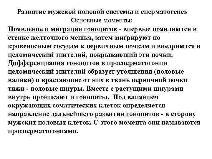 Развитие мужской половой системы и сперматогенез Основные моменты: Развитие мужской половой системы и сперматогенез Основные моменты: