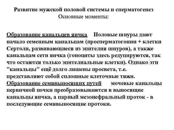 Развитие мужской половой системы и сперматогенез Основные моменты: Образование канальцев Развитие мужской половой системы и сперматогенез Основные моменты: Образование канальцев