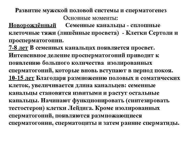 Развитие мужской половой системы и сперматогенез Основные моменты: Новорождённый Развитие мужской половой системы и сперматогенез Основные моменты: Новорождённый