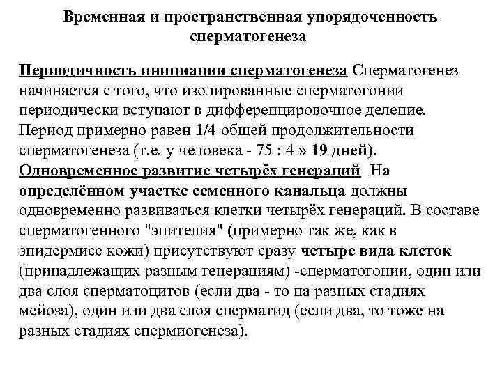 Временная и пространственная упорядоченность сперматогенеза Периодичность инициации сперматогенеза Временная и пространственная упорядоченность сперматогенеза Периодичность инициации сперматогенеза