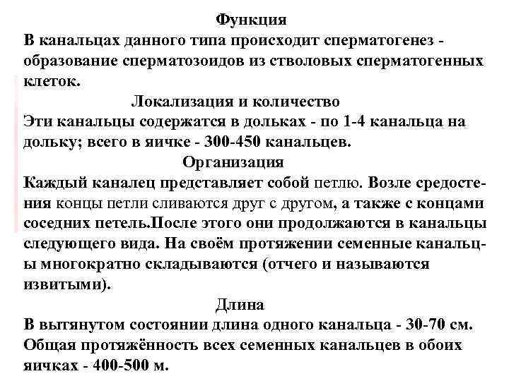 Функция Общий план строения яичка. В канальцах данного Функция Общий план строения яичка. В канальцах данного