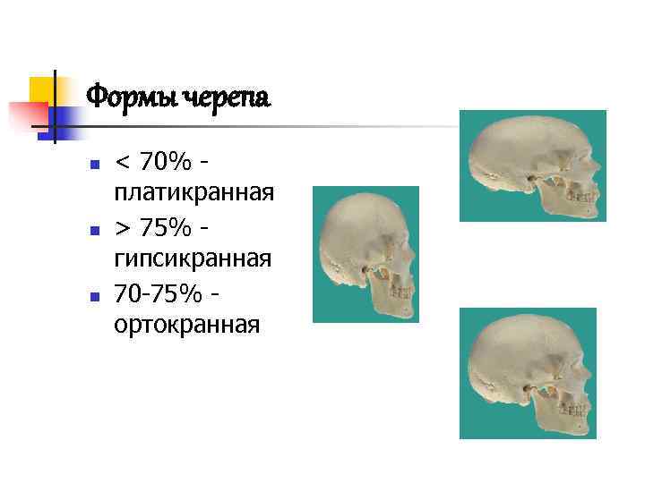 Формы черепа n  < 70% - платикранная n  > 75% - гипсикранная