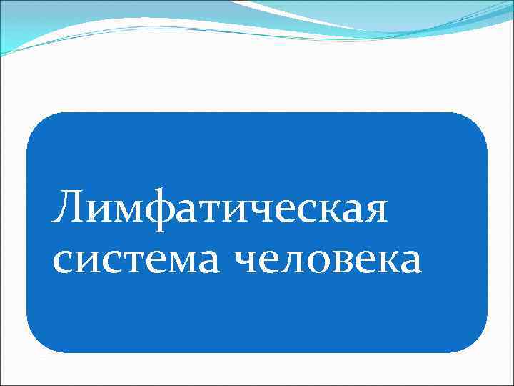 Лимфатическая система человека 