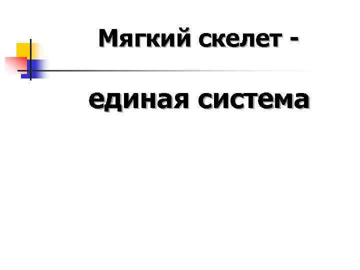 Мягкий скелет - единая система 