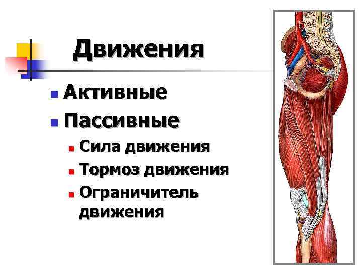   Движения n Активные n Пассивные n Сила движения n Тормоз движения n