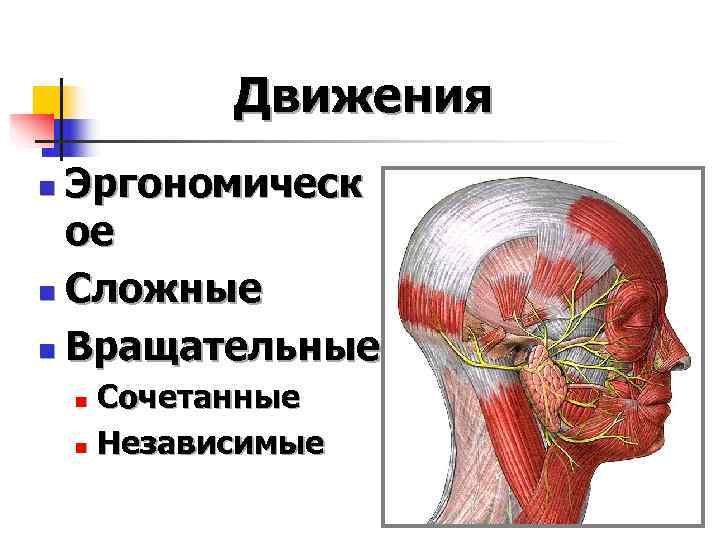   Движения n Эргономическ  ое n Сложные n Вращательные n Сочетанные n
