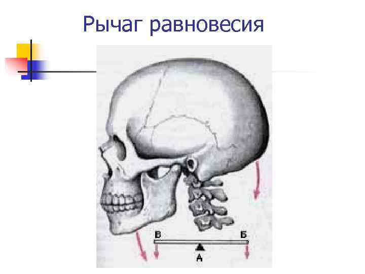 Рычаг равновесия 