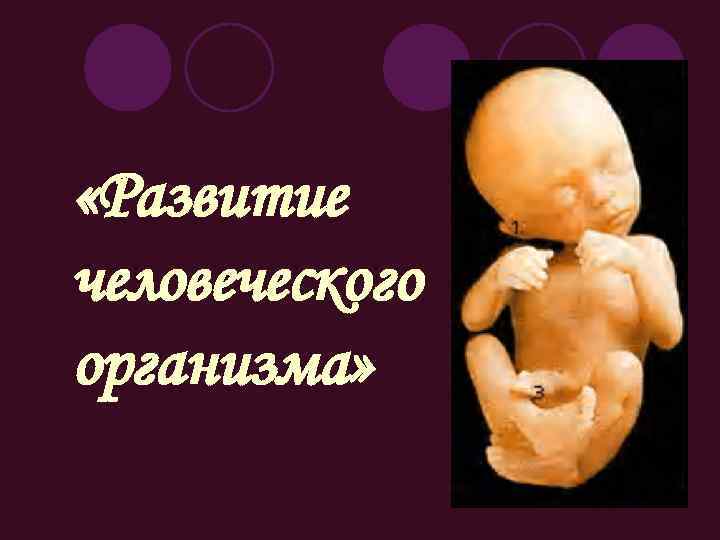  «Развитие человеческого организма» 