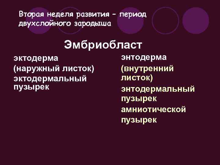 Вторая неделя развития – период двухслойного зародыша Эмбриобласт эктодерма (наружный листок) эктодермальный пузырек энтодерма
