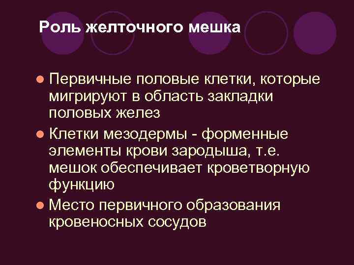 Роль желточного мешка l Первичные половые клетки, которые мигрируют в область закладки половых желез