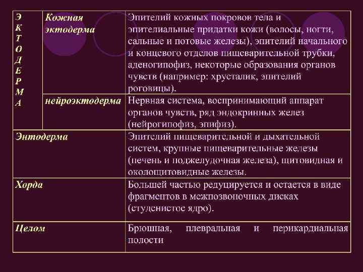 План организма. Формирование человеческого организма завершается к. Формирование человеческого организма заканчивается к. К какому возрасту завершается формирование человеческого организма. Формирование человеческого организма заканчивается к каким годам.