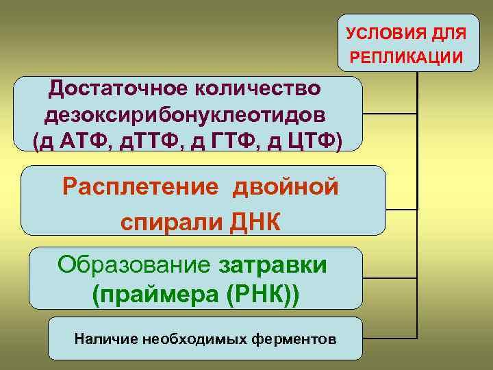       УСЛОВИЯ ДЛЯ      РЕПЛИКАЦИИ
