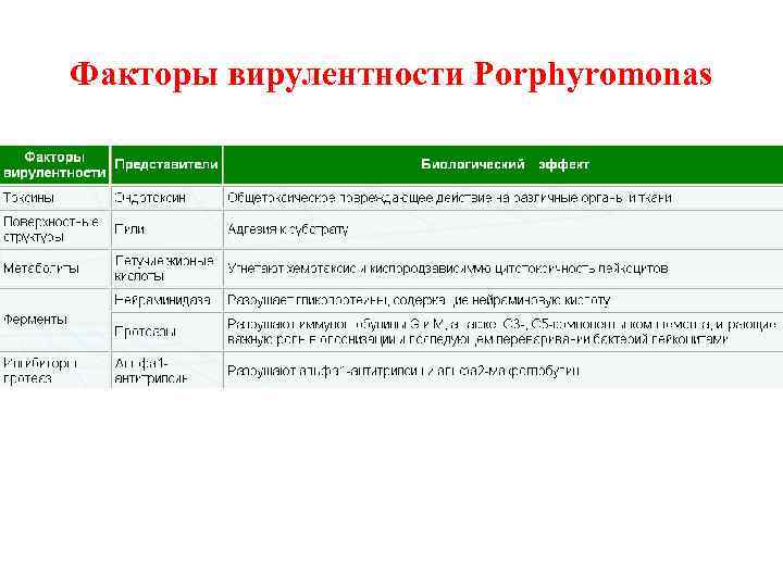 Факторы вирулентности Porphyromonas 