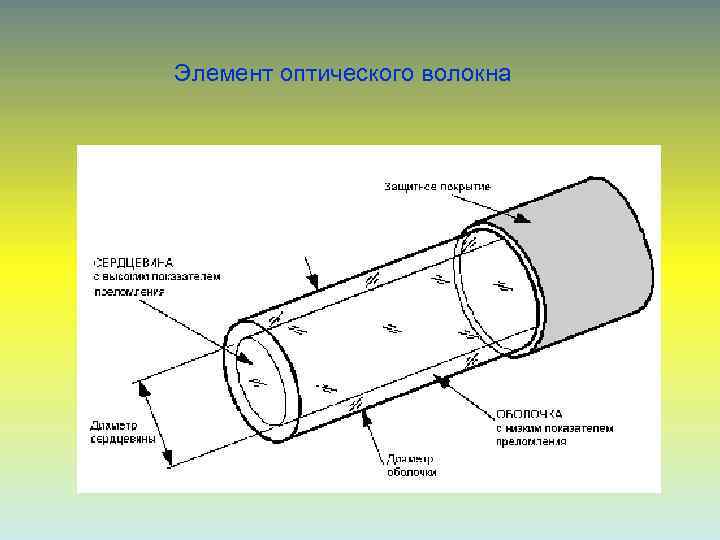 Элемент оптического волокна 
