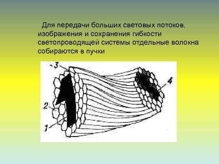  Для передачи больших световых потоков, изображения и сохранения гибкости светопроводящей системы отдельные волокна