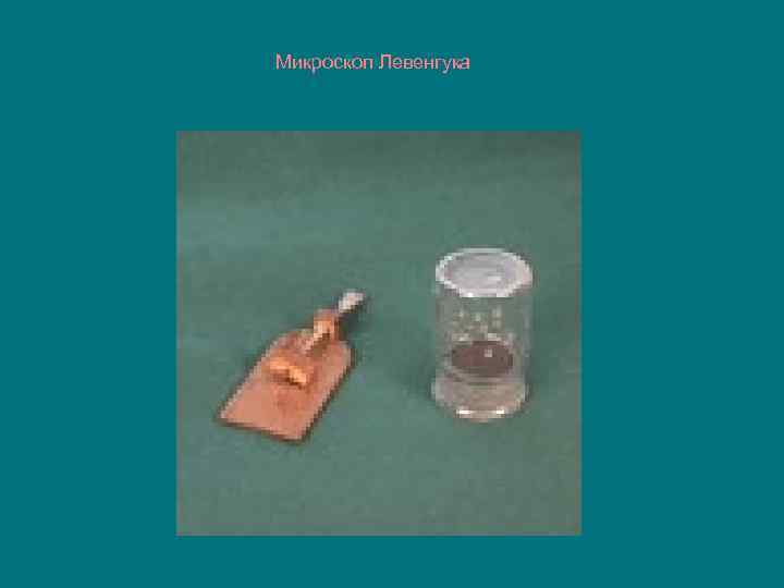 Микроскоп Левенгука 
