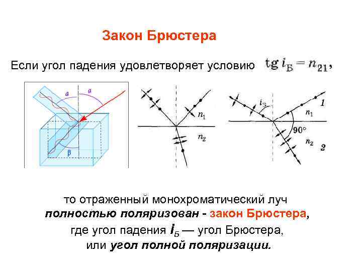 Закон брюстера имеет вид укажите на рисунке поляризацию лучей