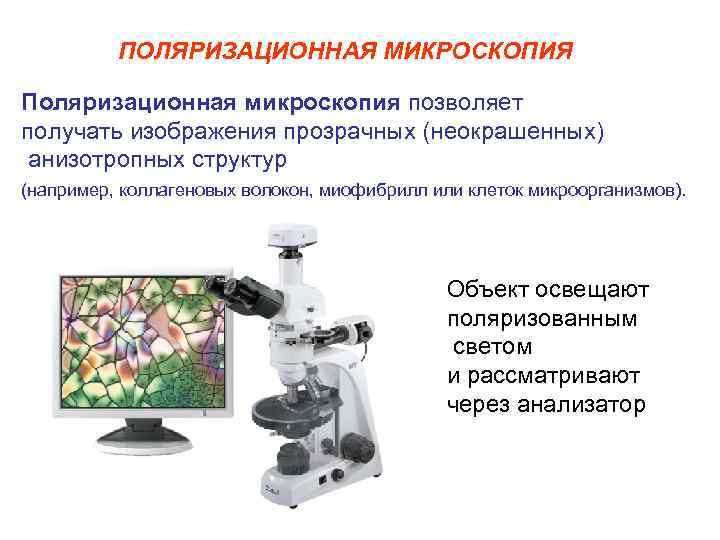    ПОЛЯРИЗАЦИОННАЯ МИКРОСКОПИЯ Поляризационная микроскопия позволяет получать изображения прозрачных (неокрашенных) анизотропных структур