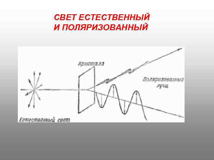 СВЕТ ЕСТЕСТВЕННЫЙ И ПОЛЯРИЗОВАННЫЙ 