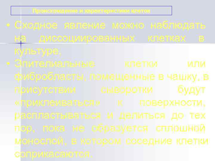  Происхождение и характеристики клеток  • Сходное явление можно наблюдать  на диссоциированных