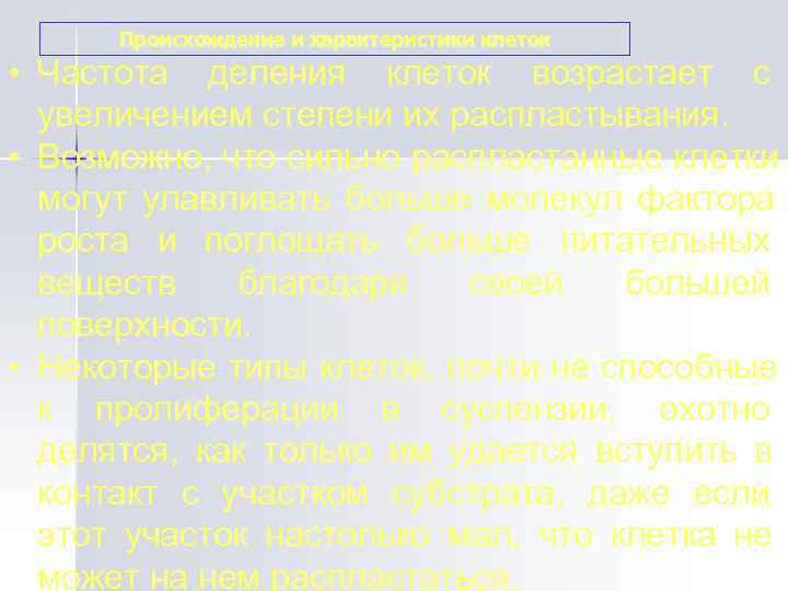   Происхождение и характеристики клеток • Частота деления клеток возрастает с  увеличением