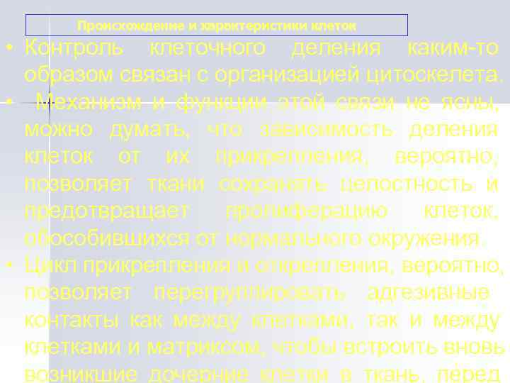  Происхождение и характеристики клеток • Контроль клеточного деления каким-то  образом связан с