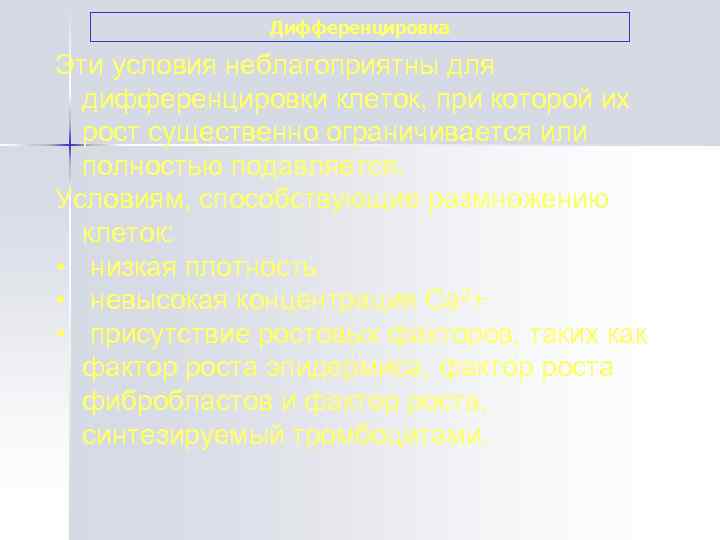     Дифференцировка Эти условия неблагоприятны для  дифференцировки клеток, при которой