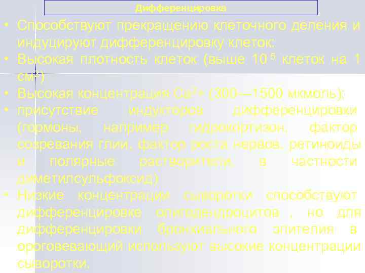     Дифференцировка  • Способствуют прекращению клеточного деления и  индуцируют