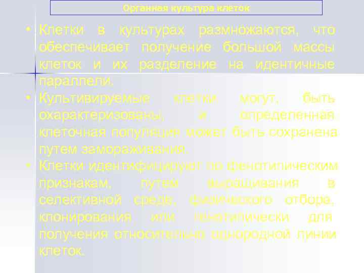    Органная культура клеток  • Клетки в культурах размножаются,  что