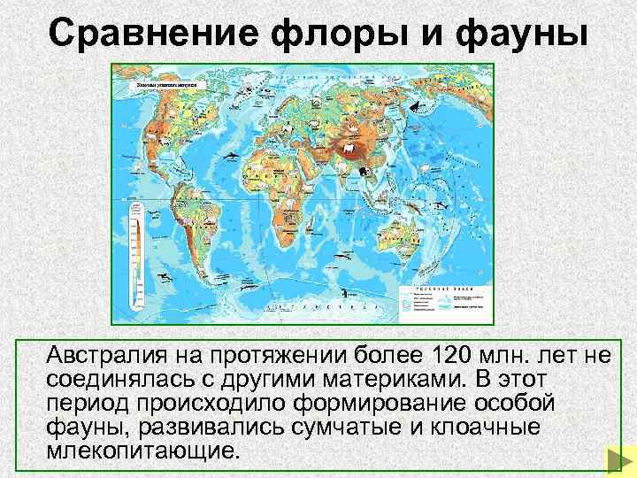 Сравнение флоры и фауны Австралия на протяжении более 120 млн. лет Сравнение флоры и фауны Австралия на протяжении более 120 млн. лет