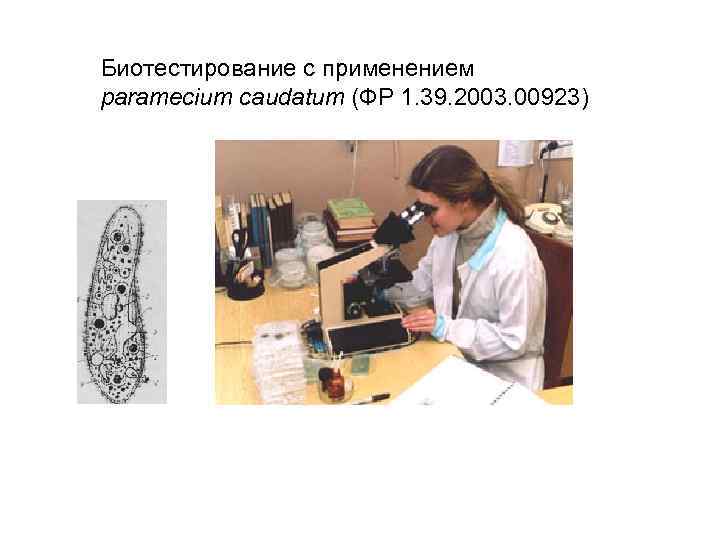 Биотестирование с применением   paramecium caudatum (ФР 1. 39. 2003. 00923) 