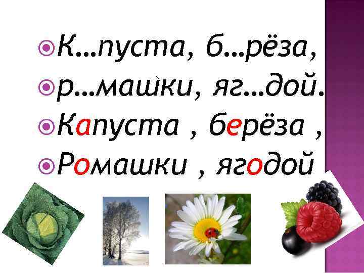  К…пуста,  б…рёза,  р…машки, яг…дой.  Капуста , берёза ,  Ромашки