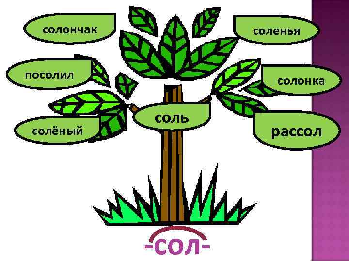  солончак  соленья  посолил   солонка    соль солёный